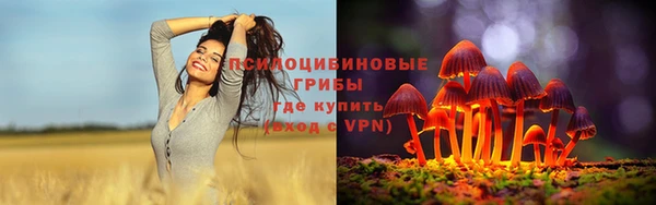 mix Алексин