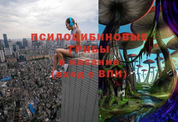 винт Алзамай