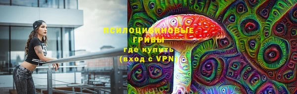 спиды Алексеевка