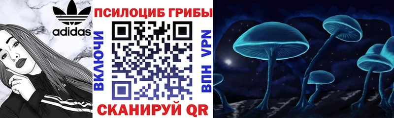 MEGA зеркало Богучар Галлюциногенные грибы Magic Shrooms